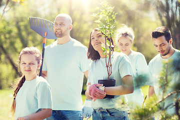 Image showing group of volunteers with trees and rake in park