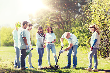 Image showing group of volunteers planting tree in park