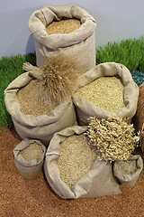 Image showing Grains in Sacks