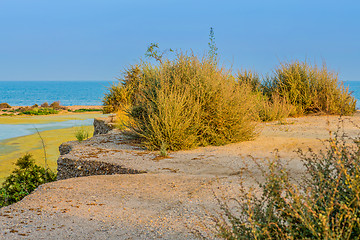 Image showing Seascape with road in natural park, Almeria