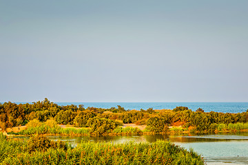 Image showing Seascape with road in natural park, Almeria