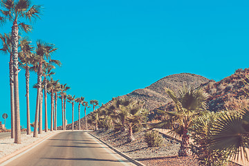 Image showing Andalusia street with palm trees at sunset