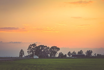 Image showing Sunset with silhouette of trees