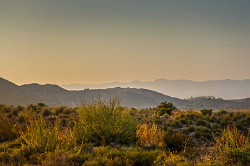 Image showing Serene landscape in natural park, Almeria