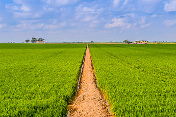 Image showing Road in a field