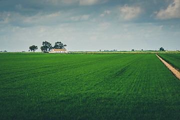Image showing Road in a field