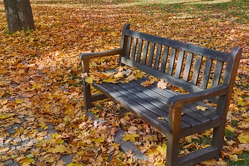 Image showing Autumn leaves on bench