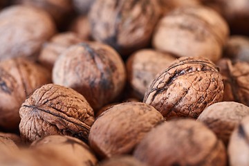 Image showing Walnuts in a pile