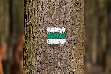 Image showing Hiking trail signs