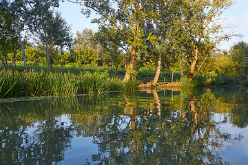 Image showing Water surface with trees