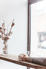 Image showing Cup of coffee, branch of tree, wooden windowsill