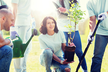 Image showing group of volunteers planting tree in park