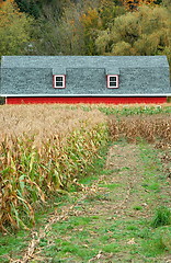 Image showing Farmland house.