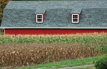 Image showing Farmland house.