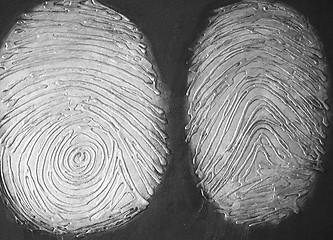 Image showing Fingerprints abstract.