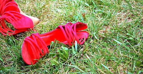 Image showing High fashion red women shoes abstract.