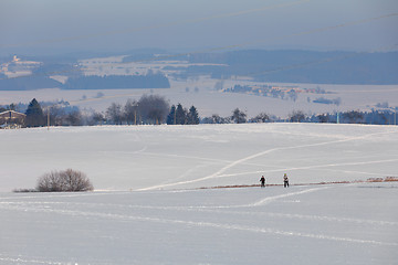 Image showing unidentified skier on the horizon winter landscape