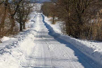 Image showing Winter rural road on a sunny frosty day