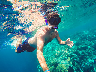 Image showing Snorkel swims in shallow water, Red Sea, Egypt