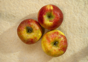 Image showing Three yellow-red apples