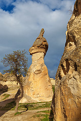 Image showing Fairy houses stone cliffs