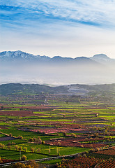 Image showing Beutiful sunset over colored agricultiral fields