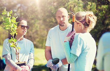 Image showing group of volunteers planting trees in park