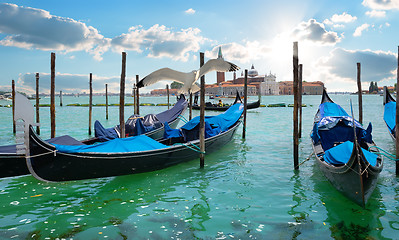 Image showing Seagull over gondolas