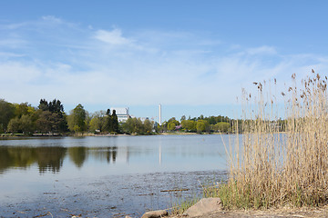 Image showing Toolo Bay in Hesperia Park, edged by tall reeds