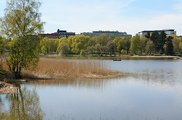 Image showing People rowing a boat on Toolo bay in Helsinki