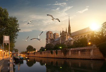 Image showing Seagulls over Notre Dame