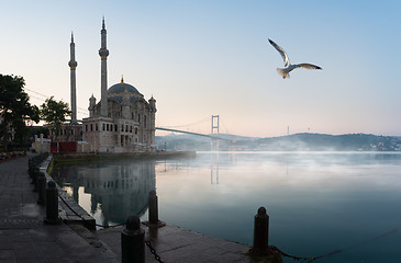 Image showing Seagull over Ortakoy Mosque