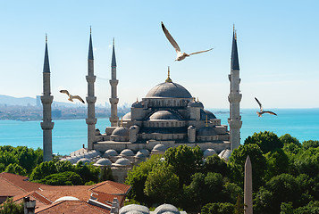 Image showing Mosque in Istanbul