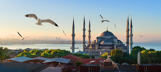 Image showing Mosque and Bosphorus in Istanbul