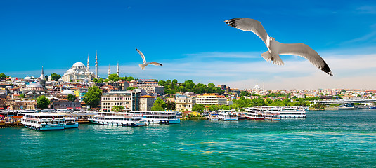 Image showing Golden Horn Bay of Istanbul