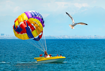 Image showing Parachute on sea