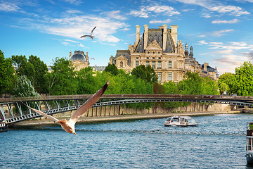 Image showing Seagulls over Seine