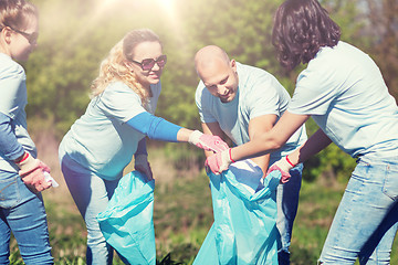 Image showing volunteers with garbage bags cleaning park area