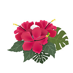 Image showing Background with tropical flowers