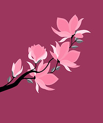 Image showing Vector magnolia flowers