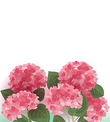 Image showing Vector hydrangea flower