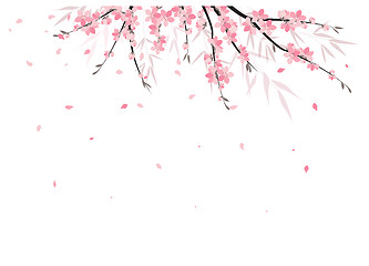 Image showing Sakura branch decoration