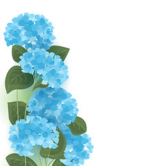 Image showing Vector hydrangea flower