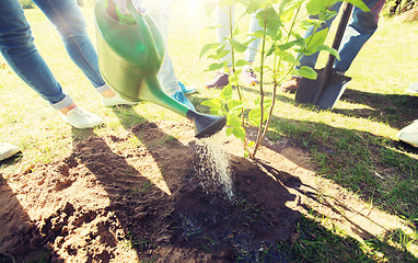 Image showing group of volunteers planting tree in park