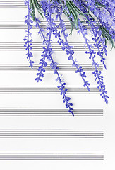 Image showing Blue lavender flowers on empty sheet music paper