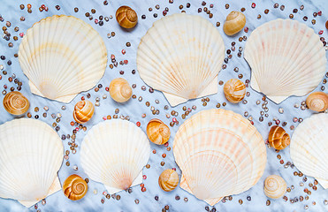 Image showing Variety of seashells on blue marble background