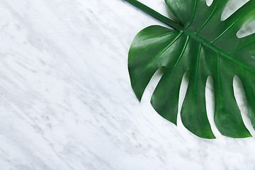 Image showing Beautiful dark Monstera leaf on marble background