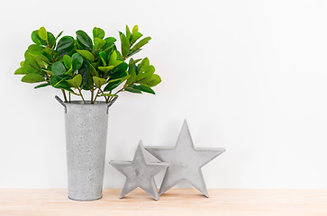 Image showing Green plant and concrete stars home decor