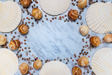 Image showing Seashells frame on blue marble background