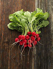 Image showing Radish